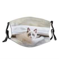 yanfind Comfortable Bedroom Bed Cat Kitty Cute Pampered Resting Sneezing Cozy Bedding Interior Dust Washable Reusable Filter and Reusable Mouth Warm Windproof Cotton Face
