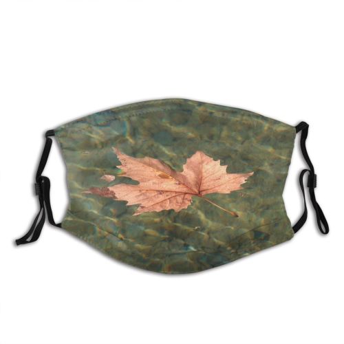 yanfind Maple Ruidera Real Autumn Woody Maple Plant Flower Pathology Leaf Leaf Tree Dust Washable Reusable Filter and Reusable Mouth Warm Windproof Cotton Face