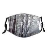 yanfind Winter Natural Winter Growth Woody Landscape Branch Forest Hardwood Northern Tree Forest Dust Washable Reusable Filter and Reusable Mouth Warm Windproof Cotton Face