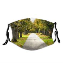 yanfind Lane Road Leaves Leaf Leaf Sky Tree Tree Grass Road Autumn Autumn Dust Washable Reusable Filter and Reusable Mouth Warm Windproof Cotton Face