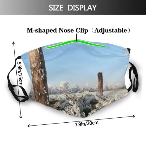 yanfind Winter Winter Backyard Landscape Sky Plant Light Ice Netherlands Rock Holland Snow Dust Washable Reusable Filter and Reusable Mouth Warm Windproof Cotton Face