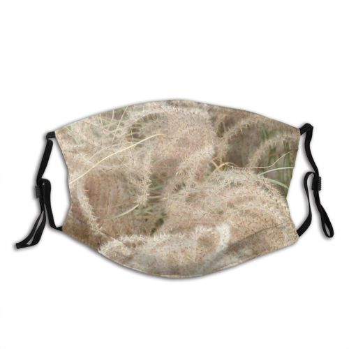 yanfind Grasses Grass Seeds Plant Filaments Stems Seed Pods Family Fecund Clematis Harvest Dust Washable Reusable Filter and Reusable Mouth Warm Windproof Cotton Face