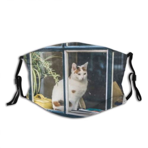 yanfind Countryside Fur Young Striped Cat Kitty Cute Old Window Classic Vintage Soft Dust Washable Reusable Filter and Reusable Mouth Warm Windproof Cotton Face