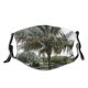 yanfind Plant DIC Naseer Tree Tree Arecales Plant Elaeis Park Date Outdoor Speciosa Dust Washable Reusable Filter and Reusable Mouth Warm Windproof Cotton Face