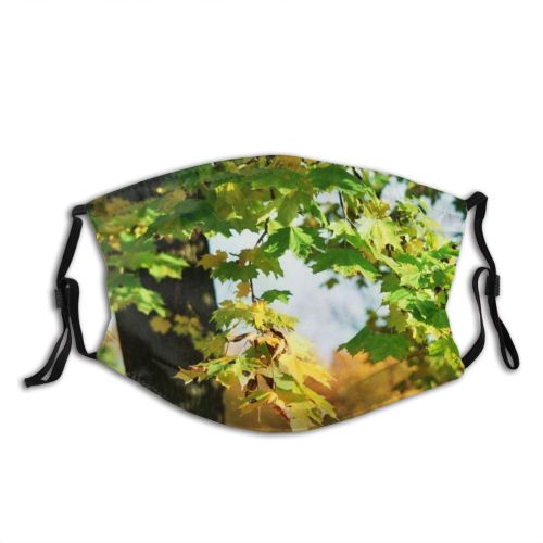 yanfind Leaf Trees Plant Sky Tree Tree Branch Plant Botany Autumn Autumn Woody Dust Washable Reusable Filter and Reusable Mouth Warm Windproof Cotton Face