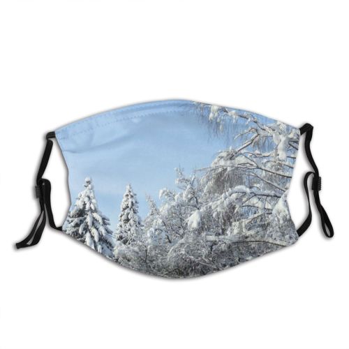 yanfind Winter Forest Landscape Sky Plant Tree Branch Plant Frost Winter Larch Freezing Dust Washable Reusable Filter and Reusable Mouth Warm Windproof Cotton Face