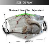yanfind Landscape Tail Squirrel Fox Organism Tree Squirrel Grey Fawn Whiskers Branch Squierel Dust Washable Reusable Filter and Reusable Mouth Warm Windproof Cotton Face