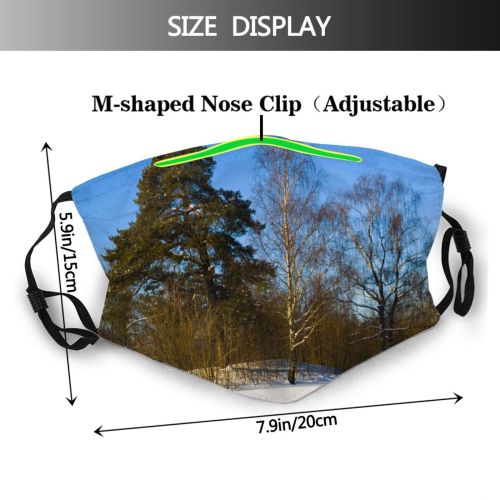 yanfind Landscape Sky Trees Tree Winter Natural Freezing Snow Daytime Wilderness Snow    Dust Washable Reusable Filter and Reusable Mouth Warm Windproof Cotton Face