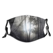 yanfind Winter Forest Sunlight Sky Trees Tuscany Tree Branch Forest Natural Atmospheric Light Dust Washable Reusable Filter and Reusable Mouth Warm Windproof Cotton Face