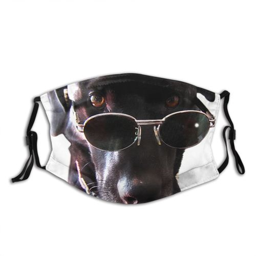 yanfind Dog Advertising Fashion Canidae Smile Show Adv Cinema Dog Fun Carnivore Friends Dust Washable Reusable Filter and Reusable Mouth Warm Windproof Cotton Face