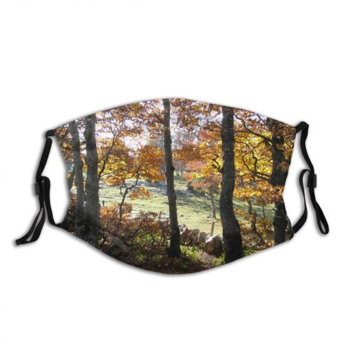 yanfind Temperate Natural Autumn Jura Landscape Broadleaf Herbst Forest Hardwood Leaf Northern Tree Dust Washable Reusable Filter and Reusable Mouth Warm Windproof Cotton Face