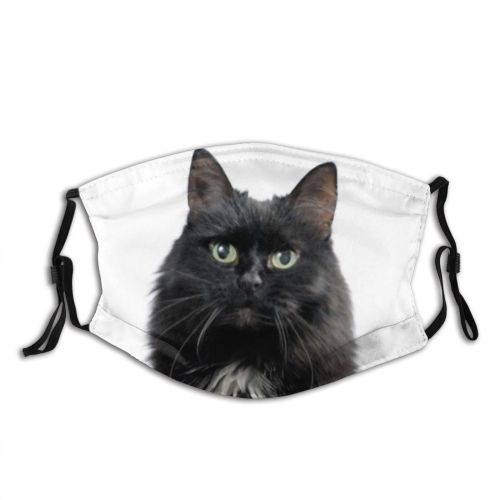 yanfind Isolated Elegant Whisker Fur Hunter Young Cat Kitty Cute Downy Muzzle Posing Dust Washable Reusable Filter and Reusable Mouth Warm Windproof Cotton Face