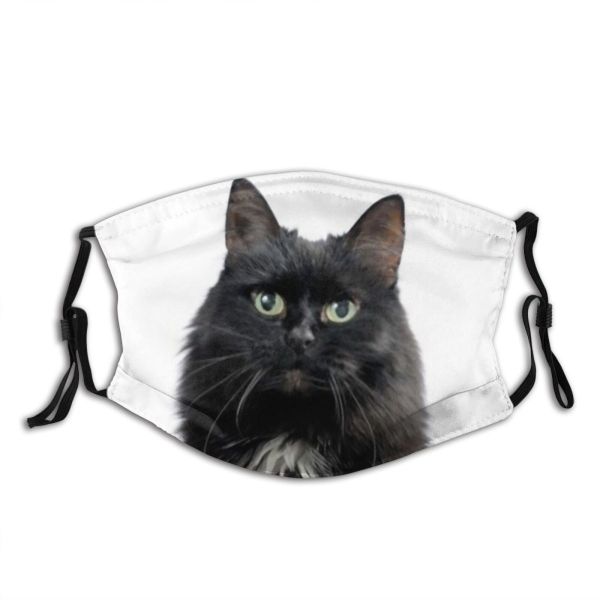 yanfind Isolated Elegant Whisker Fur Hunter Young Cat Kitty Cute Downy Muzzle Posing Dust Washable Reusable Filter and Reusable Mouth Warm Windproof Cotton Face