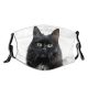 yanfind Isolated Elegant Whisker Fur Hunter Young Cat Kitty Cute Downy Muzzle Posing Dust Washable Reusable Filter and Reusable Mouth Warm Windproof Cotton Face