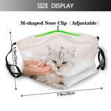 yanfind Comfort Hold Happiness Fur Young Little Cat Kitty British Cute Kittens Grey Dust Washable Reusable Filter and Reusable Mouth Warm Windproof Cotton Face