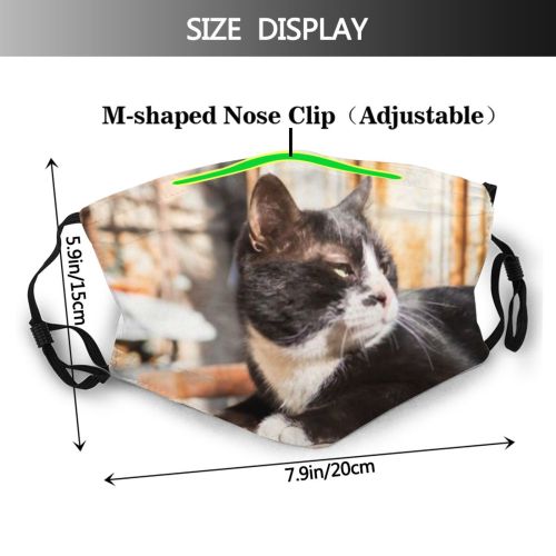 yanfind Garden Lovely Fur Life Young Little Cat Village Cute Kitty Grey Lazy Dust Washable Reusable Filter and Reusable Mouth Warm Windproof Cotton Face