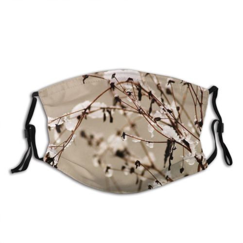 yanfind Winter Leaf Plant Spring Twig Stem Tree Flower Plants Branch Winter Meadow Dust Washable Reusable Filter and Reusable Mouth Warm Windproof Cotton Face