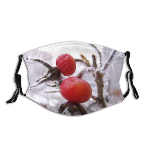 yanfind Winter Frost Winter Canina Fruit Plant Rosa Branch Hip Flower Fruit Rose Dust Washable Reusable Filter and Reusable Mouth Warm Windproof Cotton Face