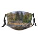 yanfind Landscape Leaf Trees Fall Tree Bushes Forest Natural Autumn Rock Autumn Plants Dust Washable Reusable Filter and Reusable Mouth Warm Windproof Cotton Face