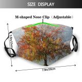 yanfind Natural Atmospheric Autumn Woody Colourful Landscape Sky Plant Fall Branch Leaf Tree Dust Washable Reusable Filter and Reusable Mouth Warm Windproof Cotton Face