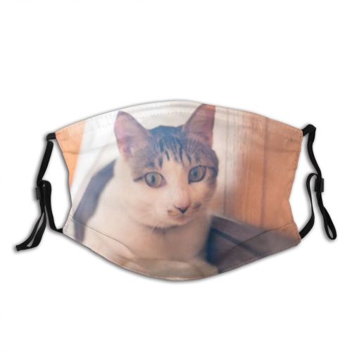 yanfind Asian Japanese Beard Young Punch Cat Cute Mood Beautiful City Face Pet Dust Washable Reusable Filter and Reusable Mouth Warm Windproof Cotton Face