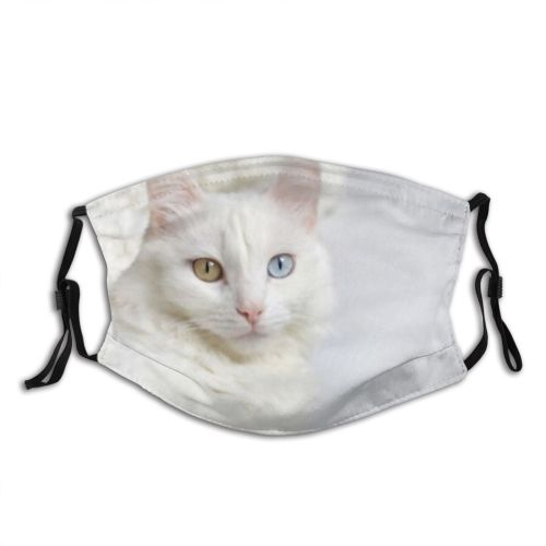 yanfind Lay Fur Bed Cat Kitty Cute Pure Turkish Cozy Van Cuteness Creme Dust Washable Reusable Filter and Reusable Mouth Warm Windproof Cotton Face