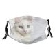 yanfind Lay Fur Bed Cat Kitty Cute Pure Turkish Cozy Van Cuteness Creme Dust Washable Reusable Filter and Reusable Mouth Warm Windproof Cotton Face