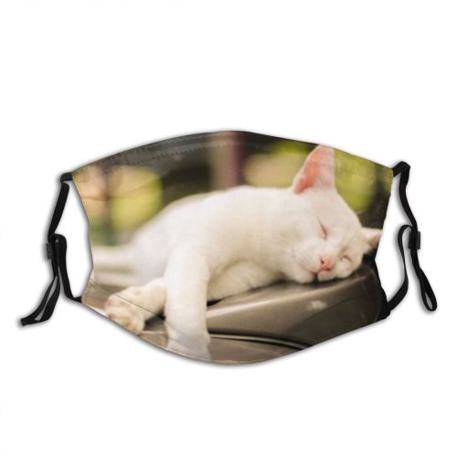 yanfind Fur Cat Cute Nose Totally Natural Relax Relaxation Beautiful Pretty Face Pet Dust Washable Reusable Filter and Reusable Mouth Warm Windproof Cotton Face