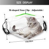 yanfind Isolated Fur Young Striped Cat Kitty Cute Attention European Staring Beautiful Pretty Dust Washable Reusable Filter and Reusable Mouth Warm Windproof Cotton Face