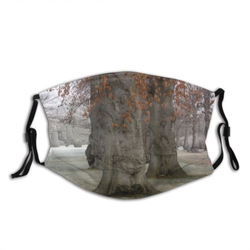 yanfind Winter Deciduous Garden Leaf Trees Plant Stem Tree Plant Trunk Branch Atmospheric Dust Washable Reusable Filter and Reusable Mouth Warm Windproof Cotton Face