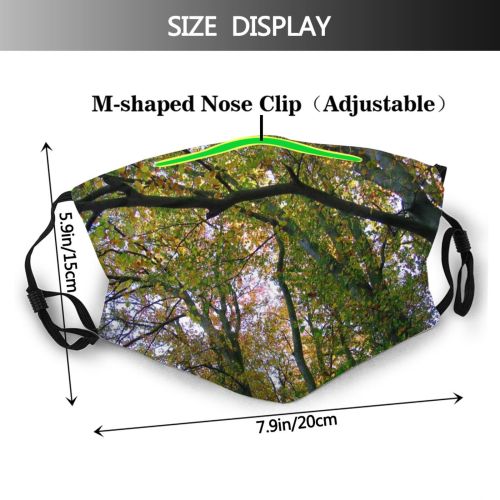 yanfind Zachodniopomorskie Temperate Natural Autumn Woody Landscape Plant Broadleaf Branch Poland Forest Leaf Dust Washable Reusable Filter and Reusable Mouth Warm Windproof Cotton Face