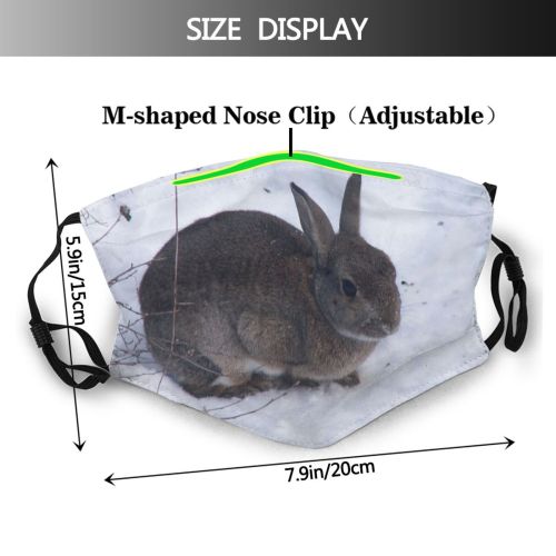 yanfind Winter Sweden Hares Bunny Keys Snow Mountain Rabbit Marsh Lower Snowshoe Vertebrate Dust Washable Reusable Filter and Reusable Mouth Warm Windproof Cotton Face