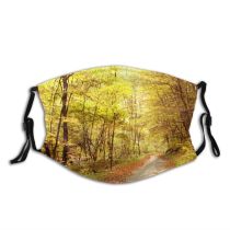 yanfind Landscape Leaf Sunlight Tree Forest Natural Autumn Woodland Dust Washable Reusable Filter and Reusable Mouth Warm Windproof Cotton Face