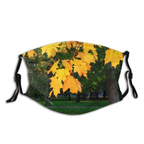 yanfind Maple Autumn Woody Leaves Colours Vegetation Maple Plant Fall Leaf Leaf Tree Dust Washable Reusable Filter and Reusable Mouth Warm Windproof Cotton Face