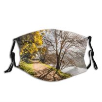yanfind Public Europe Grass Leaf Landscape Riverbank Tranquility Deciduous Rural Tree Scene Forest Dust Washable Reusable Filter and Reusable Mouth Warm Windproof Cotton Face