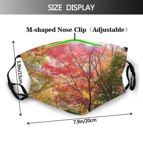 yanfind Woody Leaves Maple Plant Sky Branch Momiji Leaf Leaf Tree Tree Autumn Dust Washable Reusable Filter and Reusable Mouth Warm Windproof Cotton Face