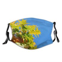 yanfind Sky Buds Sun Autumn Woody Leaves Branch Sky Plant Maple Bush Bud   Dust Washable Reusable Filter and Reusable Mouth Warm Windproof Cotton Face