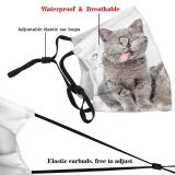 yanfind Isolated Smile Lovely Young Stupid Little Cat Laugh Grey Friendly Makes Muzzle Dust Washable Reusable Filter and Reusable Mouth Warm Windproof Cotton Face