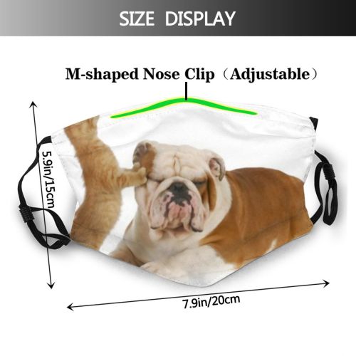 yanfind Friends Attractive Isolated Reflection Lovely Young Relationship Cat Cute Affection English Old Dust Washable Reusable Filter and Reusable Mouth Warm Windproof Cotton Face