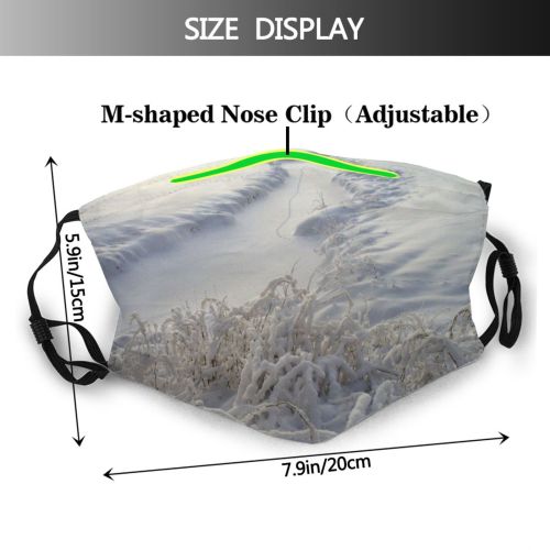 yanfind Winter Landscape Sky River Ice Tree Ice Branch Frost Winter Freezing Snow Dust Washable Reusable Filter and Reusable Mouth Warm Windproof Cotton Face