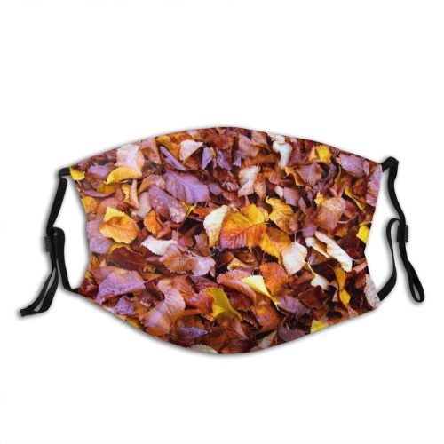 yanfind Winter Leaves Deciduous Leaf Leaf Trees Plant Natural Autumn Groundcover Dust Washable Reusable Filter and Reusable Mouth Warm Windproof Cotton Face