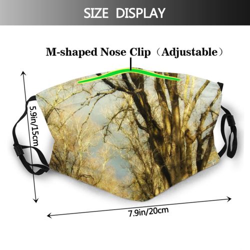 yanfind Winter Landforms Lake Mountain Highland Range Sky Mountainous Lake Alps Mountains Glacial Dust Washable Reusable Filter and Reusable Mouth Warm Windproof Cotton Face