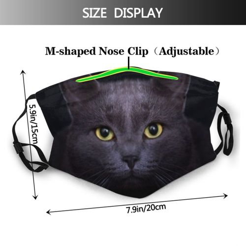 yanfind Face Portrait Pet Kitten Eyes Fur Furry Young Cat Cute Closeup Grey Dust Washable Reusable Filter and Reusable Mouth Warm Windproof Cotton Face