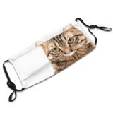 yanfind Attractive Whisker Fur Straight Kitty British Carnivore Jump Shorthair Adorable Frolicsome Grey Dust Washable Reusable Filter and Reusable Mouth Warm Windproof Cotton Face