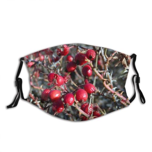 yanfind Flowering Rose Hip Hawthorn Plant Berry Tree Plant Fruit Hawthorn Plants Woody Dust Washable Reusable Filter and Reusable Mouth Warm Windproof Cotton Face