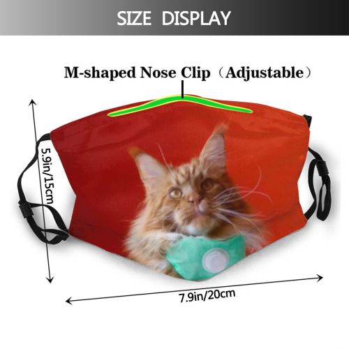 yanfind Isolated Fur Meow Cat Kitty Cute Clinic Coon Vet Vaccination Medical Ginger Dust Washable Reusable Filter and Reusable Mouth Warm Windproof Cotton Face