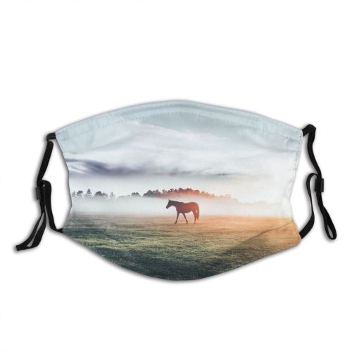 yanfind Dawn Poland Herbivorous Agriculture Sunrise Wroclaw Sky Fog Agricultural Scenics Cloud Season Dust Washable Reusable Filter and Reusable Mouth Warm Windproof Cotton Face