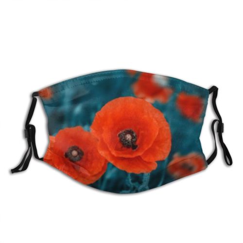 yanfind Buds Poppy Meadow Season Field Spring Sky Summery  Light Summer Grass Dust Washable Reusable Filter and Reusable Mouth Warm Windproof Cotton Face
