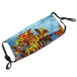 yanfind Spring Sky Autumn Woody Leaves Colours Sky Plant Fall Branch Flower Flowering Dust Washable Reusable Filter and Reusable Mouth Warm Windproof Cotton Face