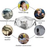 yanfind Isolated Fur Young Cat British Cute Resting Amazed Shorthair Grey Purr Above Dust Washable Reusable Filter and Reusable Mouth Warm Windproof Cotton Face